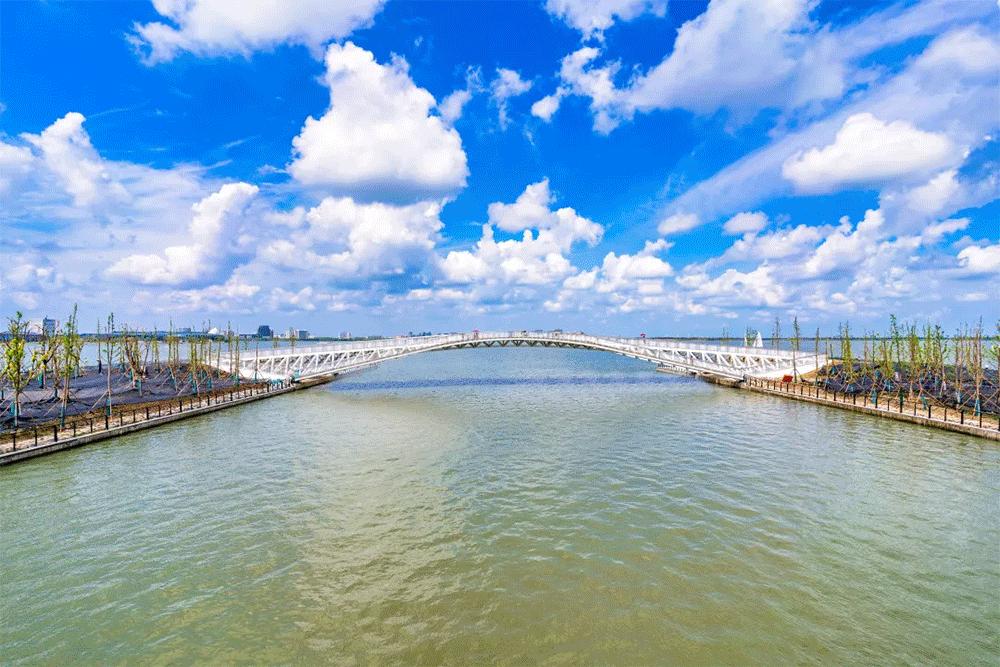 上海周末骑行好去处,上海周边适合春天骑行的地方排名