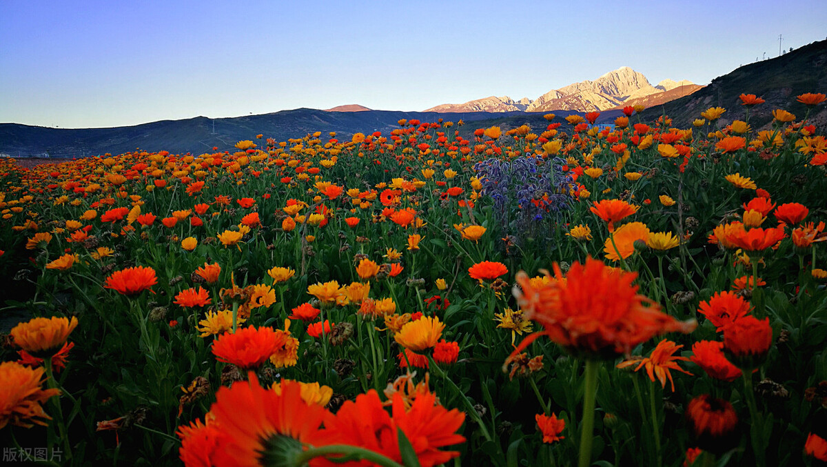 上课铃声响起,一位面容清癯的中年老师夹着讲义稿,健步走进教室