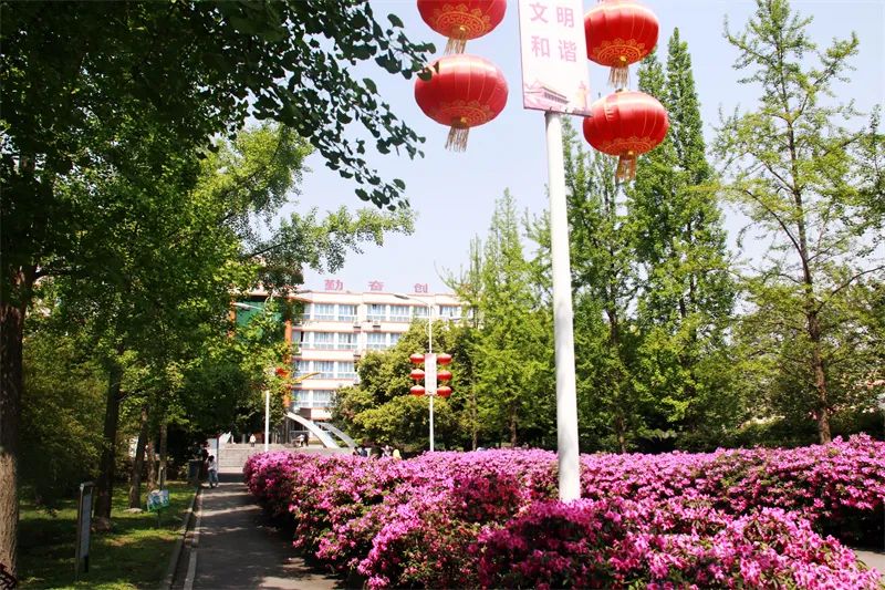 眉山市高中体育特长生招生,洪雅中学高中部招生条件