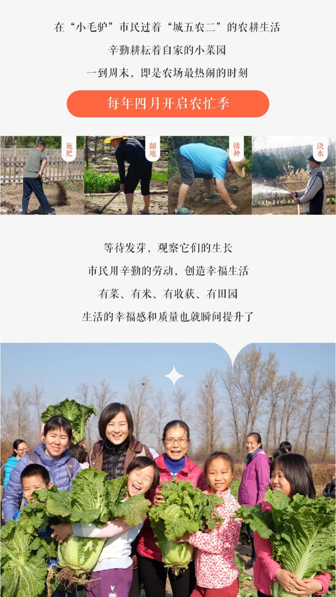 小毛驴农场,小毛驴农业园