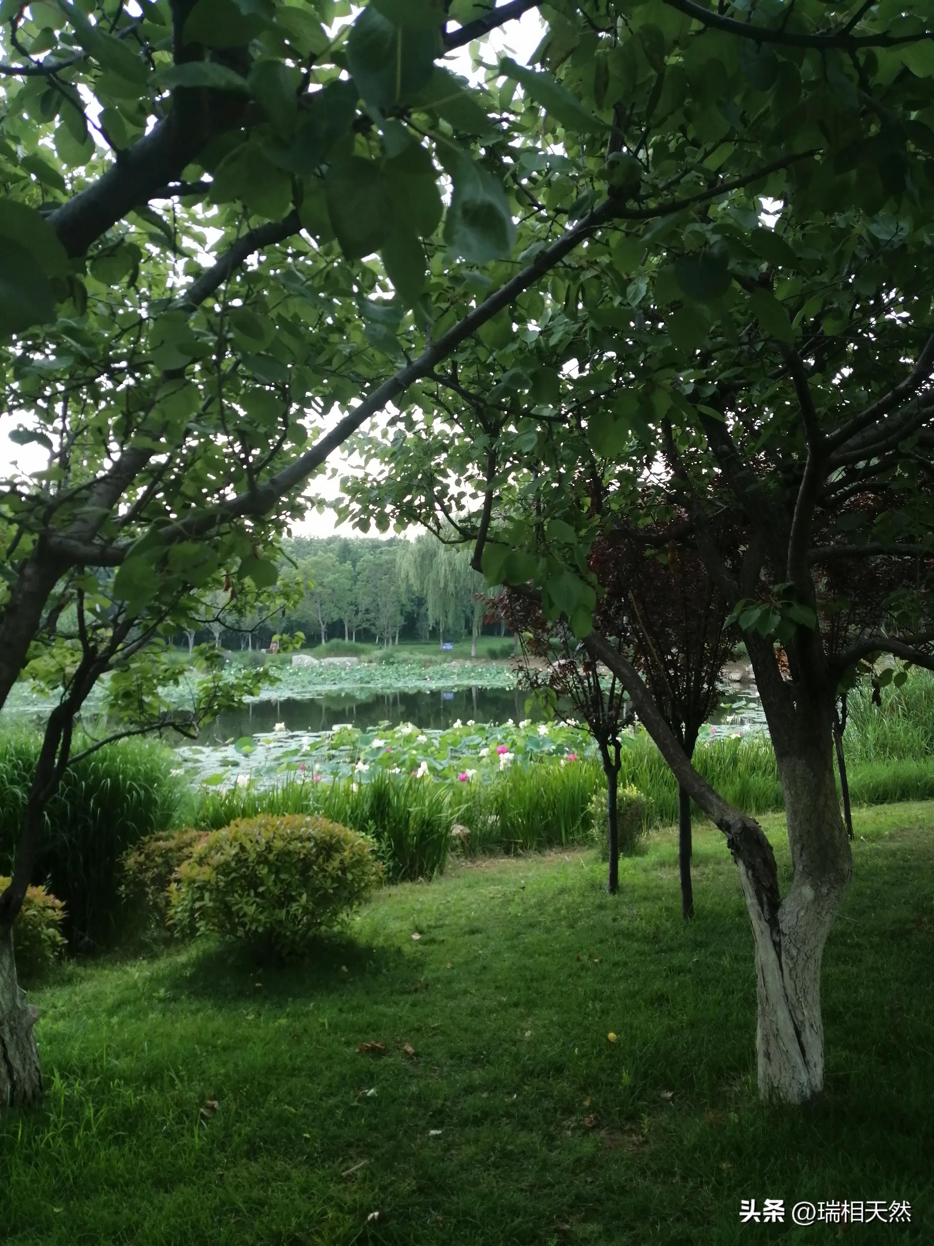 古诗词原创三首,刘耀文三首原创情歌