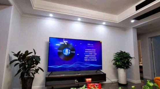 普乐之声音响怎么样,普乐之声家庭音响哪款好