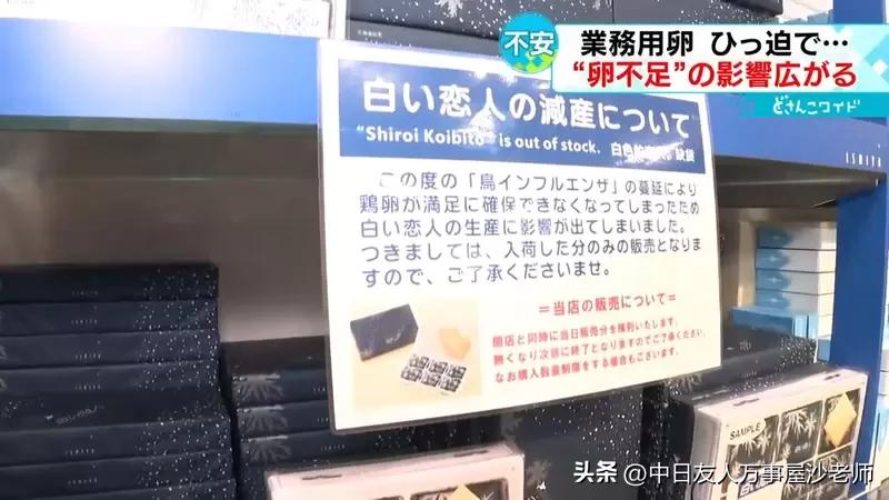北海道特产白色恋人店,北海道名产白色恋人