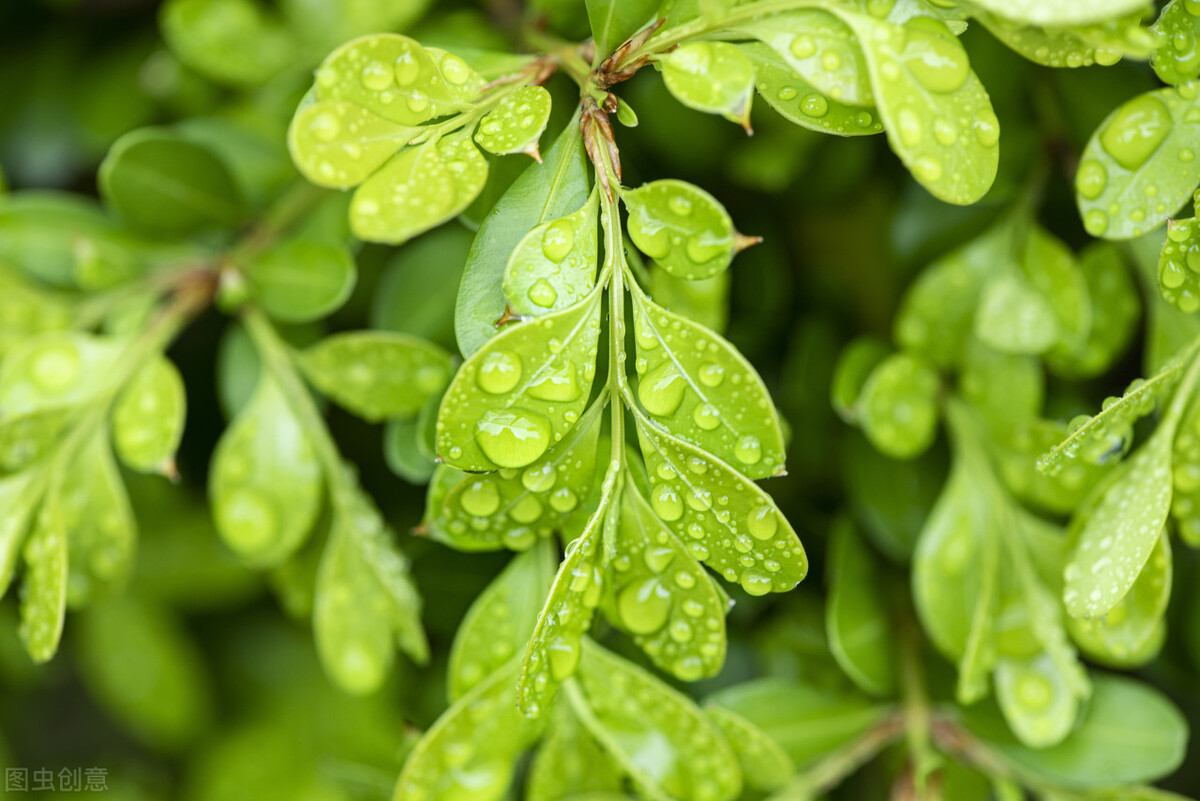 我在职场遇到不公平的事情怎么办,我在面试中遇见的奇葩事