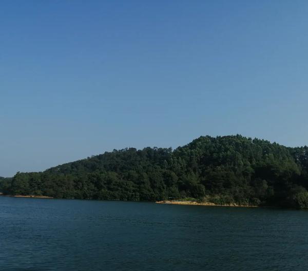 探秘广东河源万绿湖：暴雨洗礼后的生态奇观