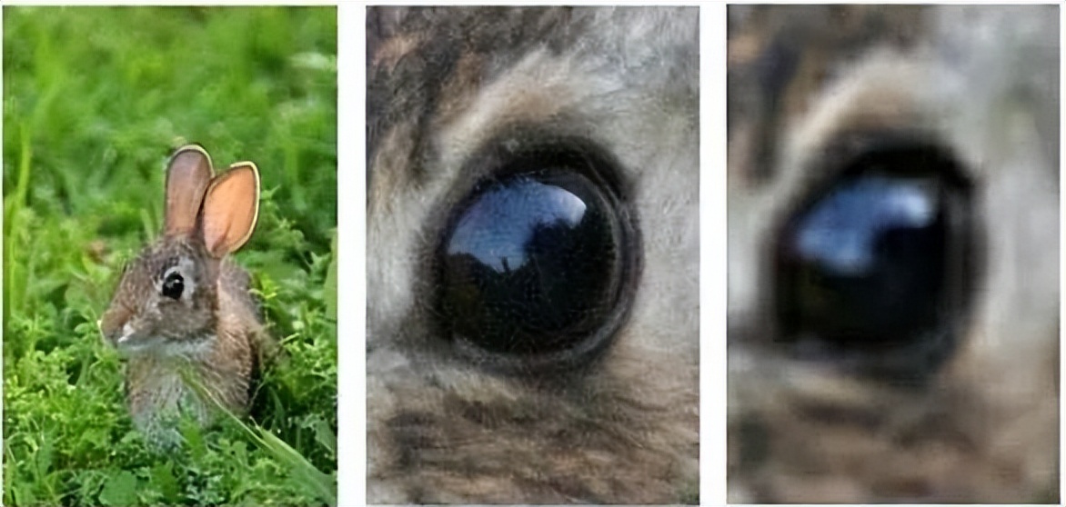 光学变焦和数码变焦拍照,光学变焦和长焦镜头有什么区别