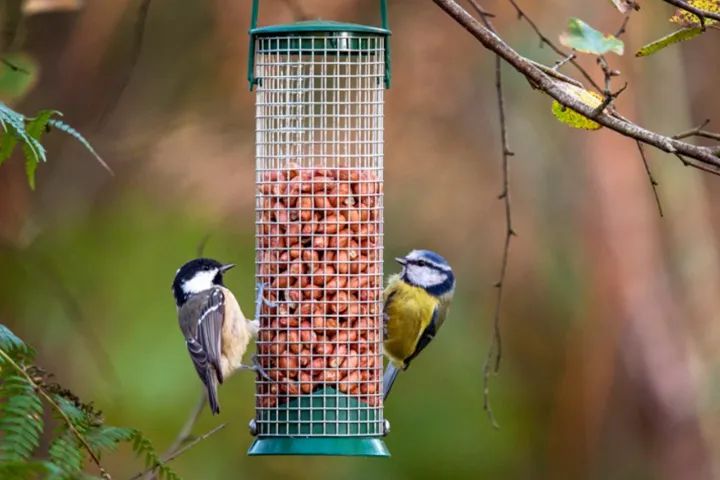 海关助力新产品出口,海关助力首批产品出口