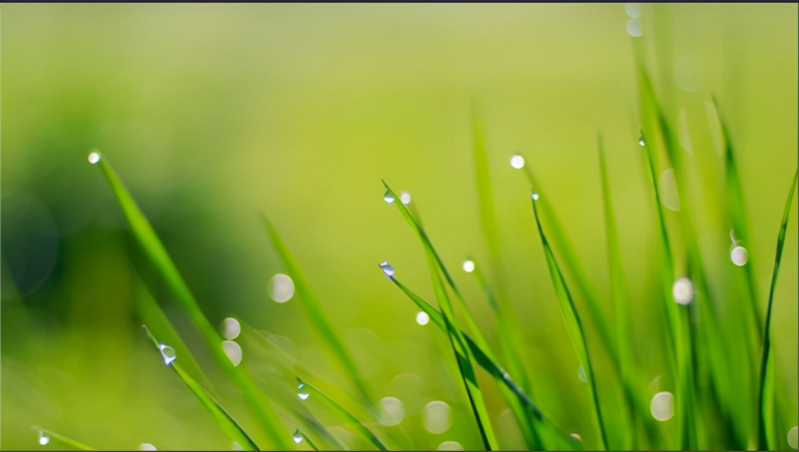 2025年体育考试专项评分标准,体育测试项目及评分标准2024年