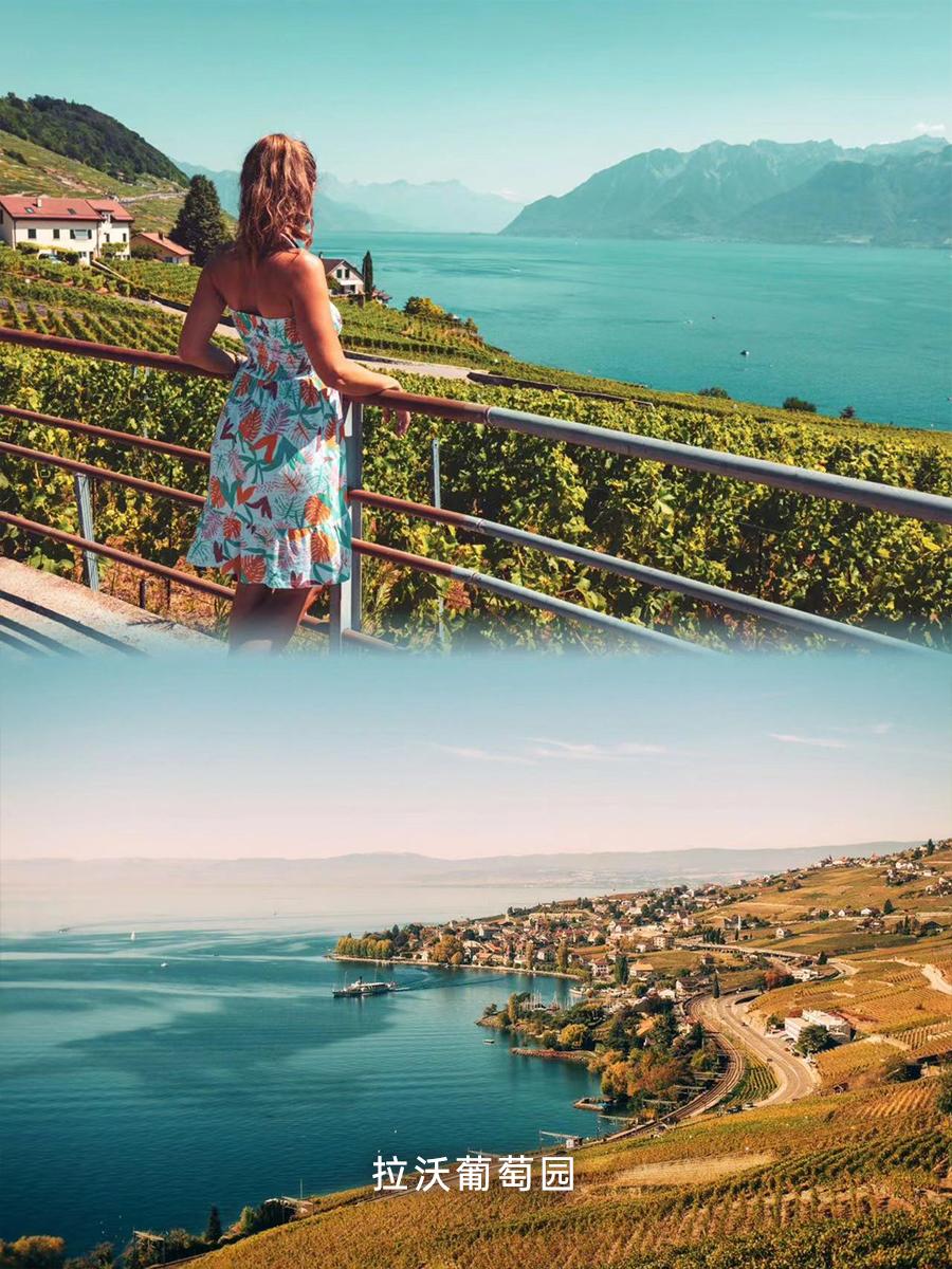 这个童话里的仙境之国，为什么人人都想去？