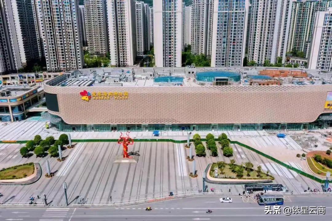 中国中免海口新海港免税城,中国中免海南自贸港