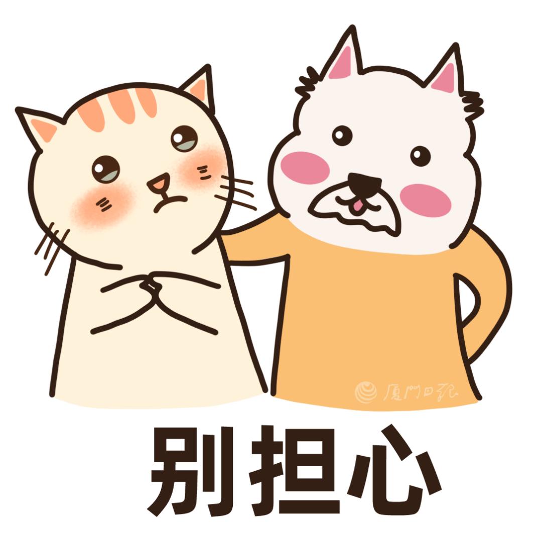 厦门集体户可以选择积分入学吗,厦门热点小学入学政策