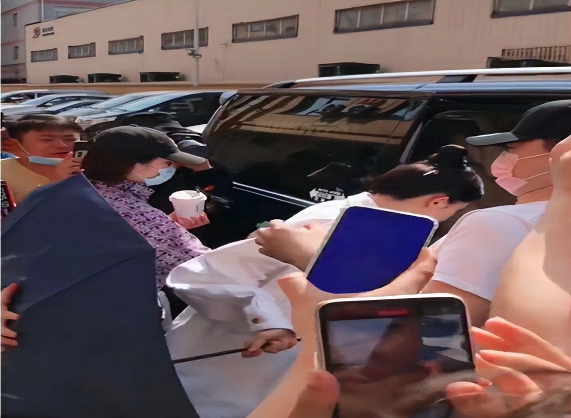 内娱小天后杨幂,内娱杨幂地位