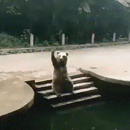 哈哈笑抽了，现在全网都知道他被绿了，网友：头上顶着青青草原