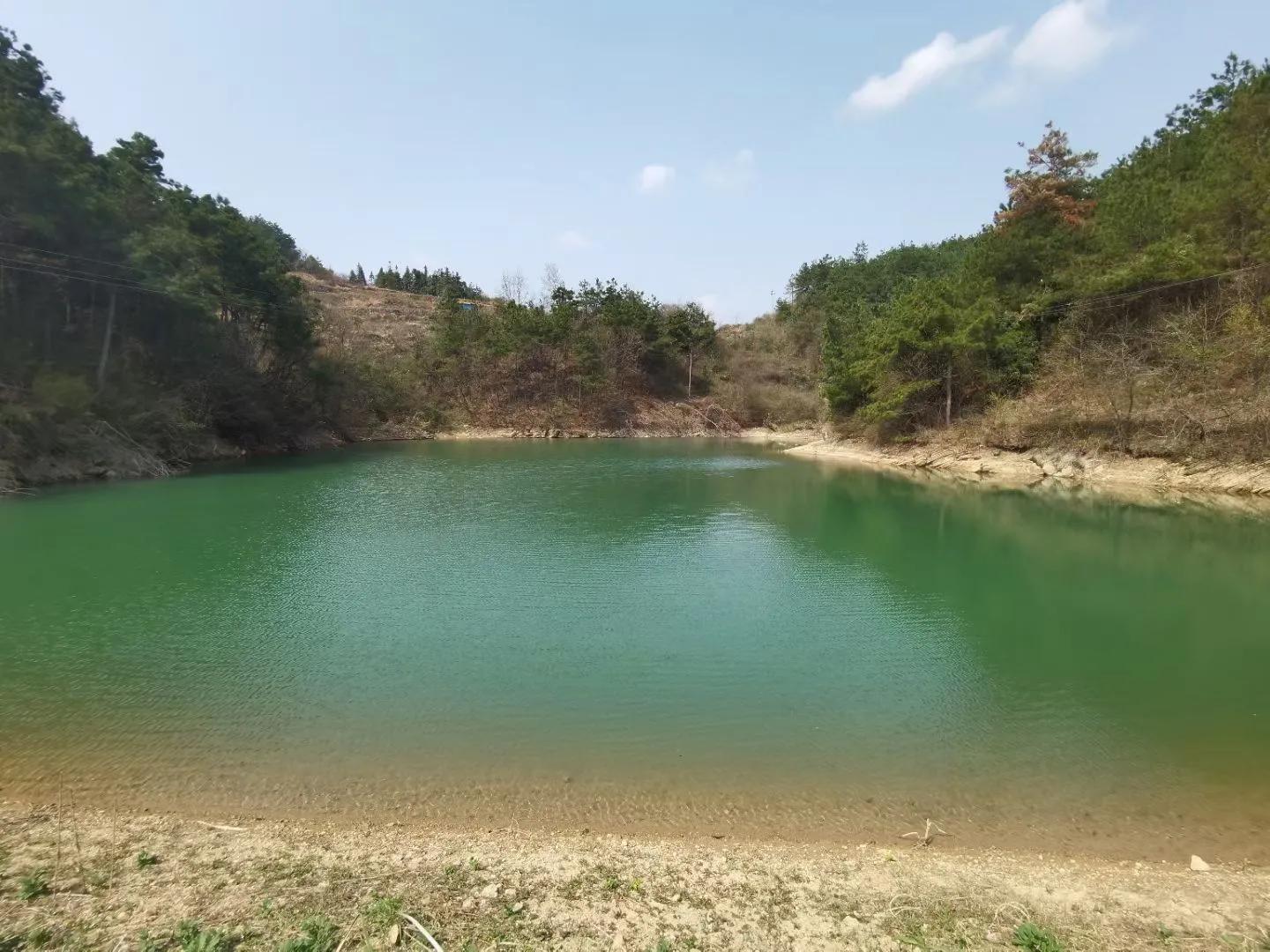 邵东野鸡坪村全景图,邵东市野鸡坪村新闻