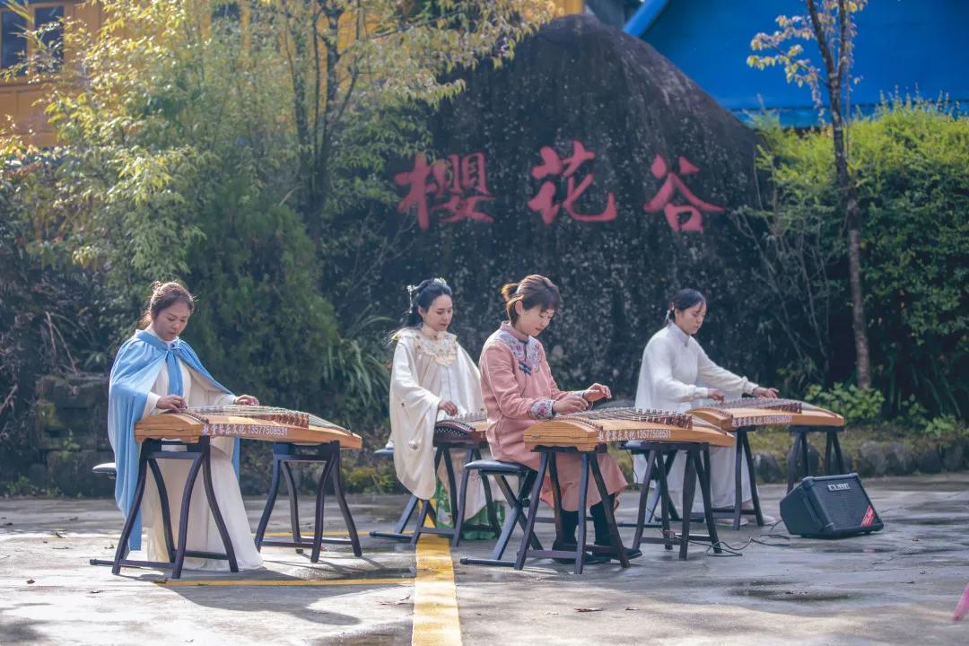 腾冲十里樱花风景区,腾冲到樱花谷旅游攻略