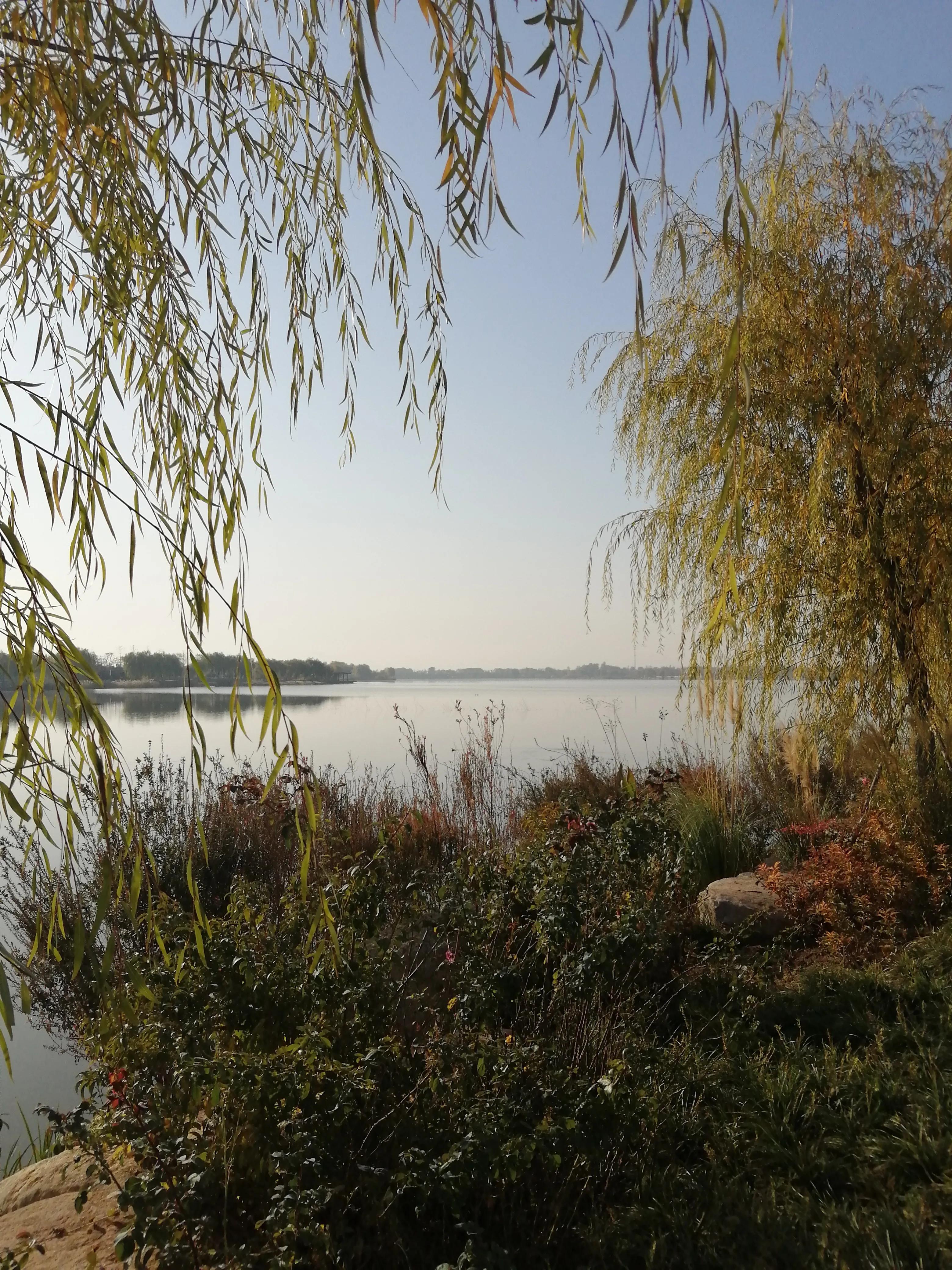 十岁那年我摆了一桌瘟鸡宴，结果享受了半天灵魂与肉体的洗礼