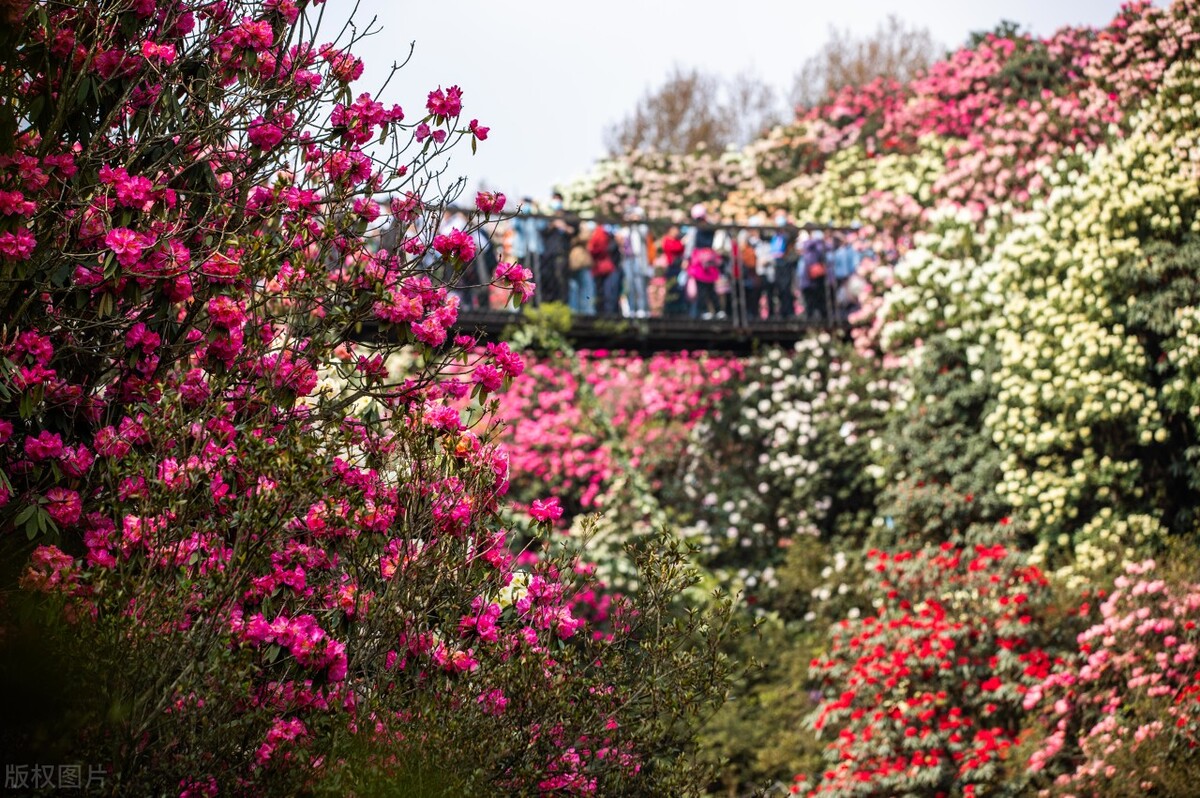 夏天自驾游最凉快的地方,旅游十大必去的地方中国夏天