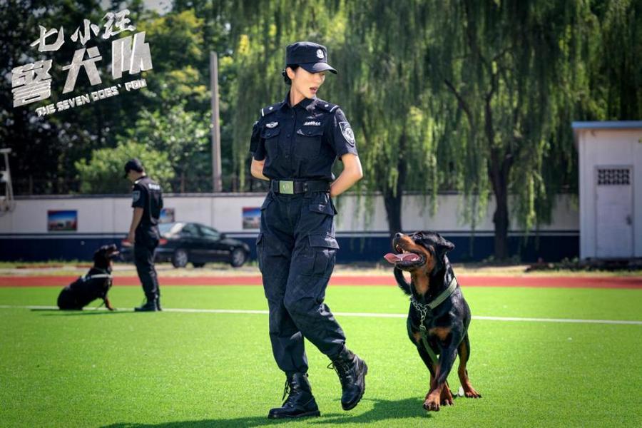 七小汪警犬队讲了什么,七小汪警犬队拍摄地点在哪