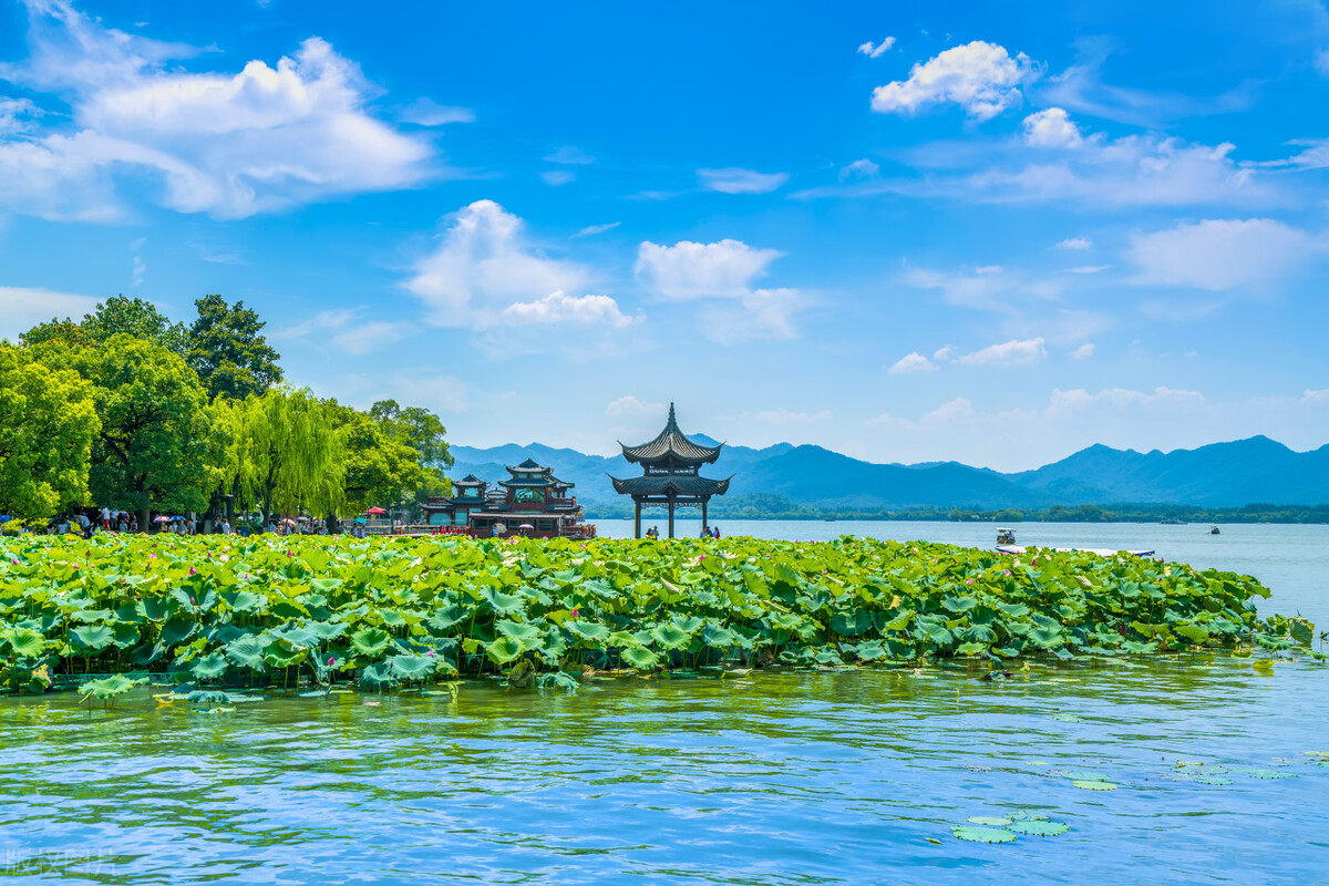 江南行作者张德富