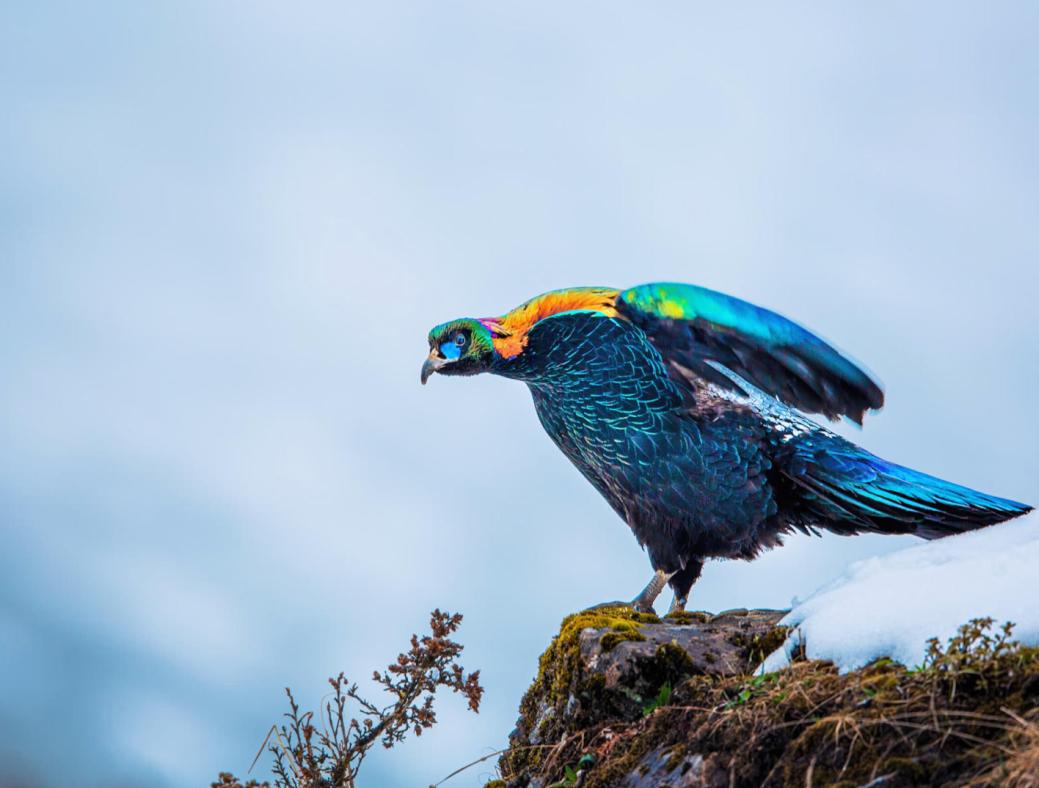 2022.9.12学习笔记