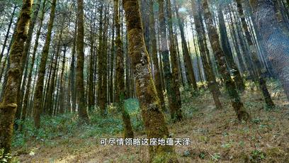 印象霍州,临汾霍州县城