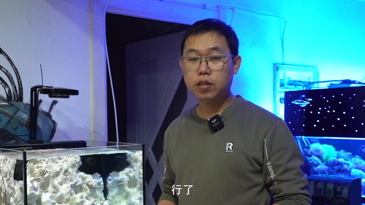 海缸50缸珊瑚造景,海缸30度珊瑚脱藻吗
