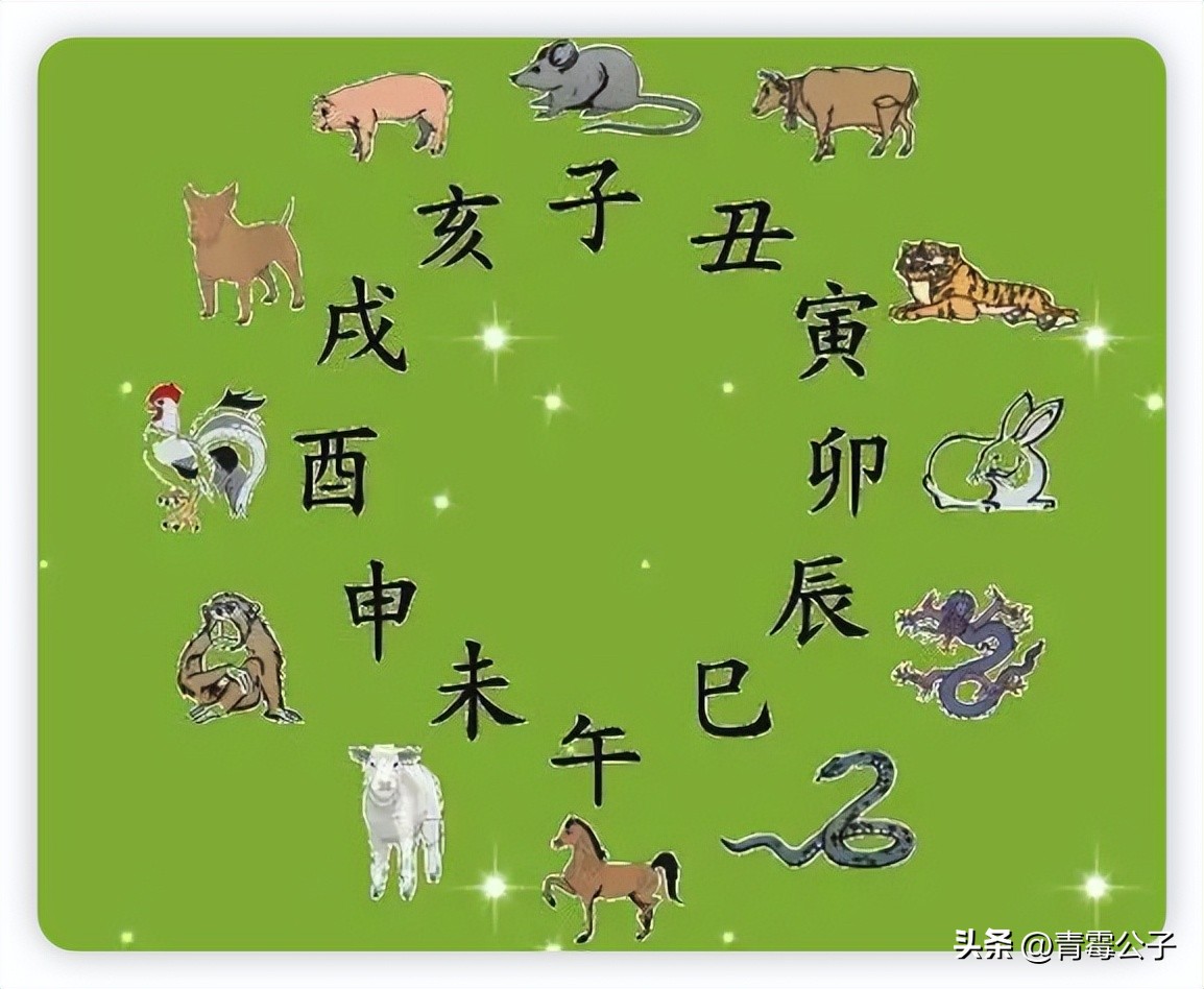 一只蓝色兔子是什么品种,一只蓝兔子