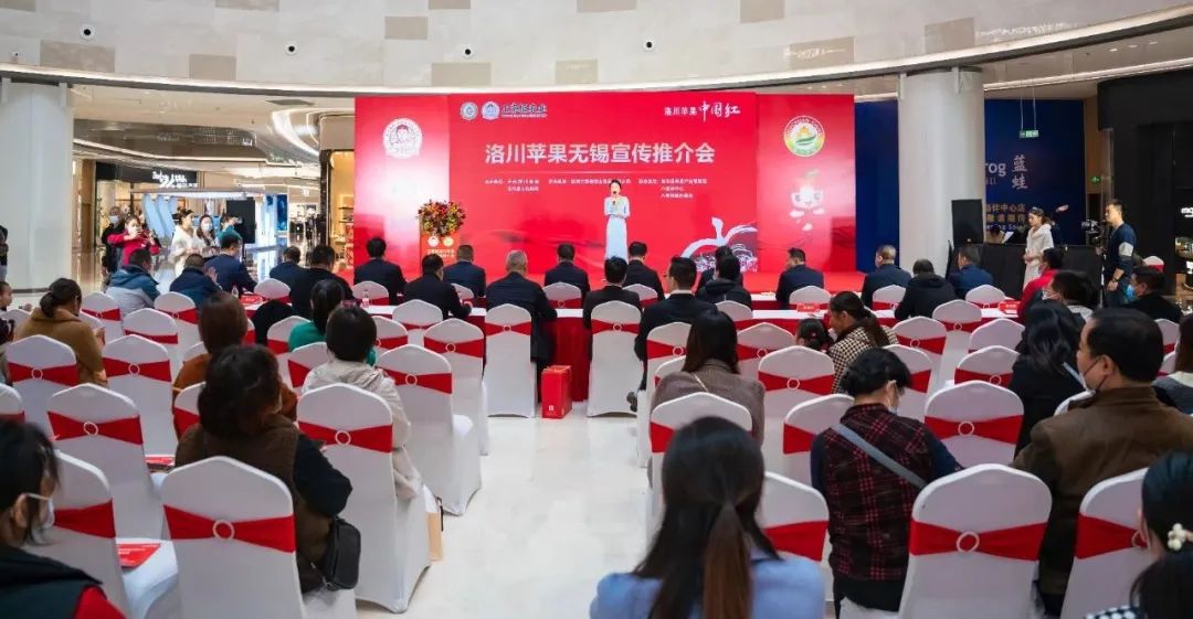 一起来看美丽的淀山湖,一起来看苏州京杭大运河