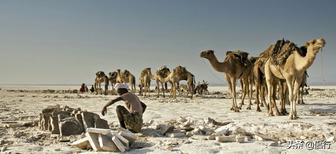 在非洲的死海，探访最接近地狱之门的人