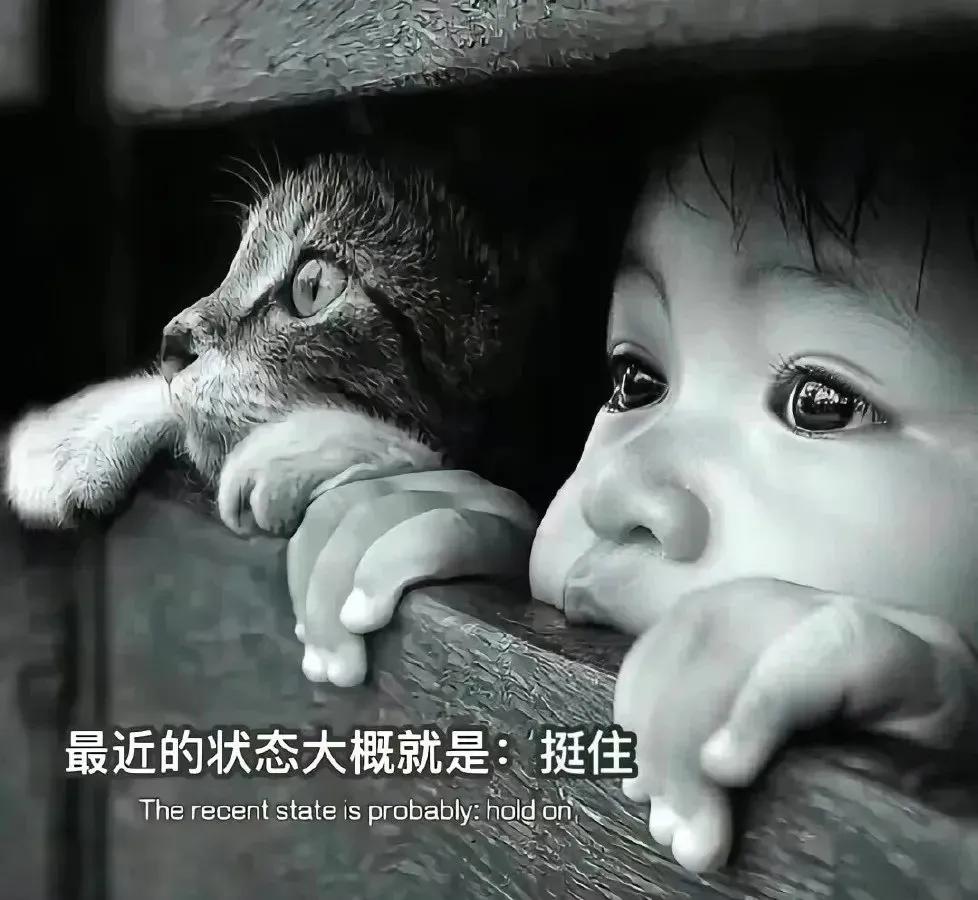 自主创业的全过程,女性自主创业项目