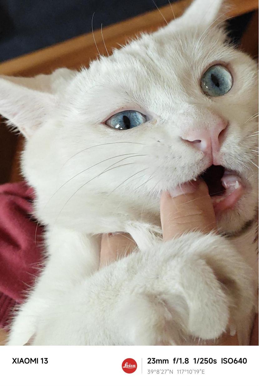 小米13外观使用体验,小米13外观细节展示