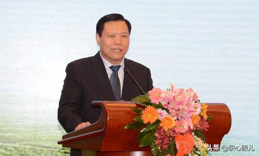 董明珠和王健林投资银隆怎么样,董明珠王健林马云入股银隆