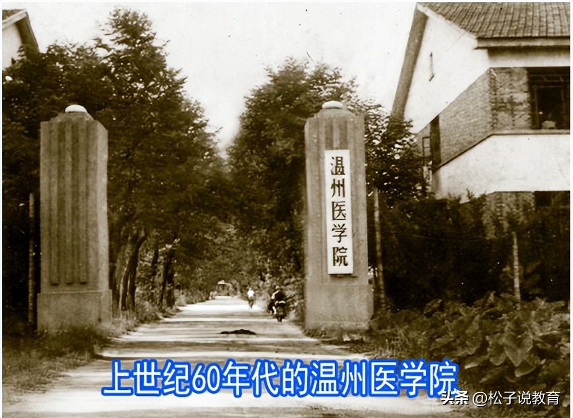 温州医科大学属于什么级别,温州医科大学哪些专业不是医学类