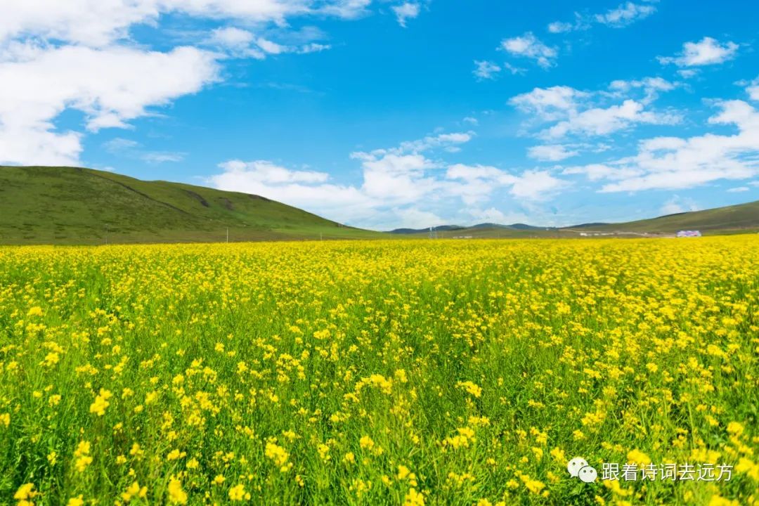 关于春天积极向上的经典诗词,七首杏花诗词惊艳了整个春天