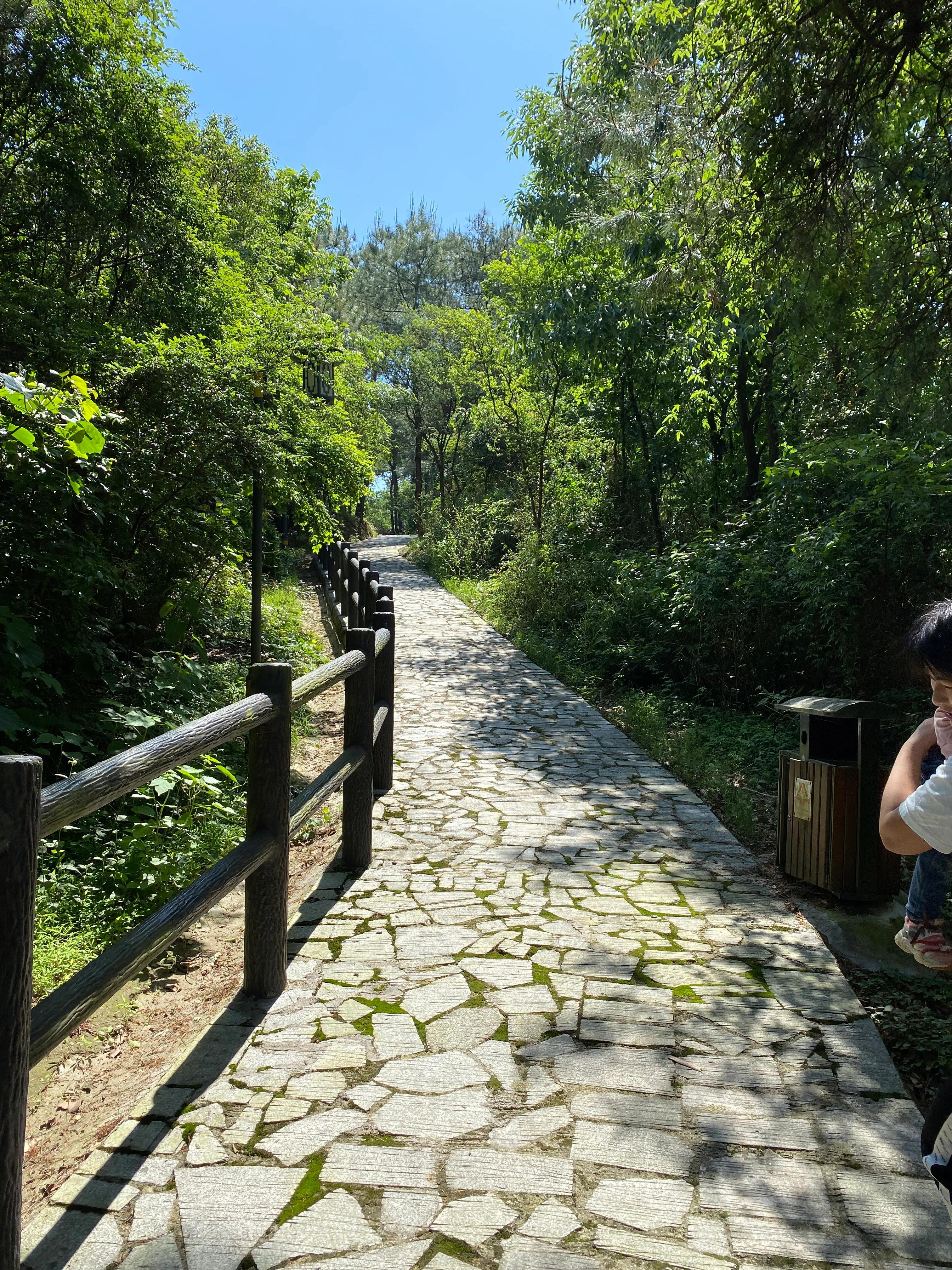 长沙周边游免费景点大全,长沙周边游2-3天短途旅游