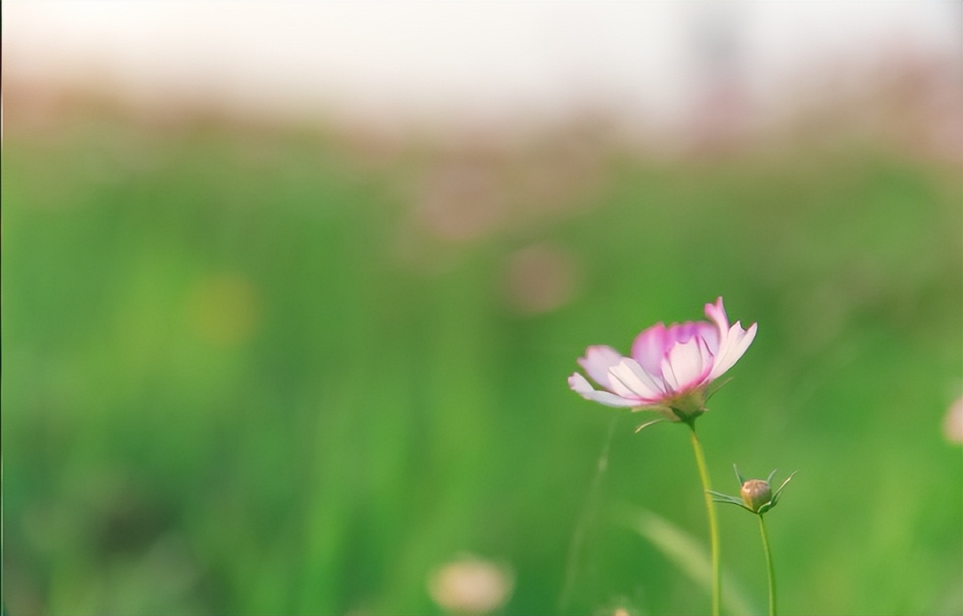 和老公过不下去应该和父母说吗,跟老公过不下去了还要孩子吗