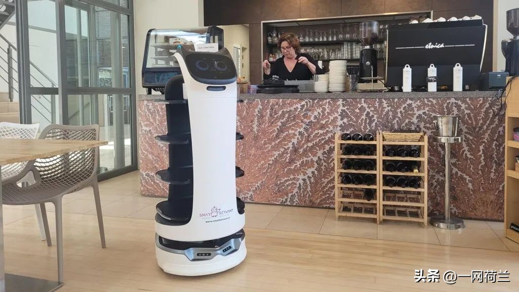 餐厅可以用机器人代替服务人吗,荷兰餐厅服务