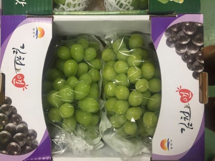 日本阳光玫瑰葡萄2000一斤,日本阳光玫瑰葡萄多少钱一斤
