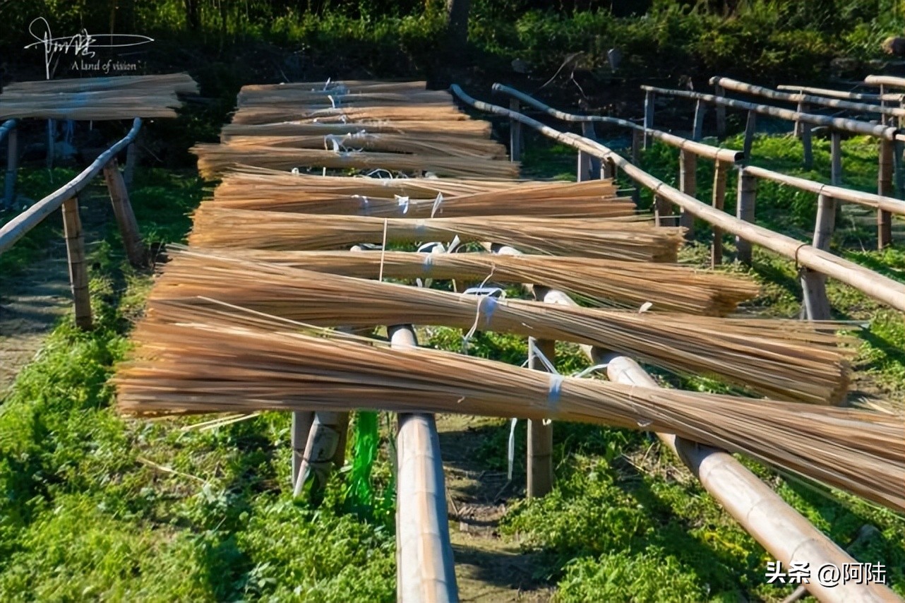 无意间路过太公堂村,邂逅了余杭“竹”功夫,人文风景挺不错