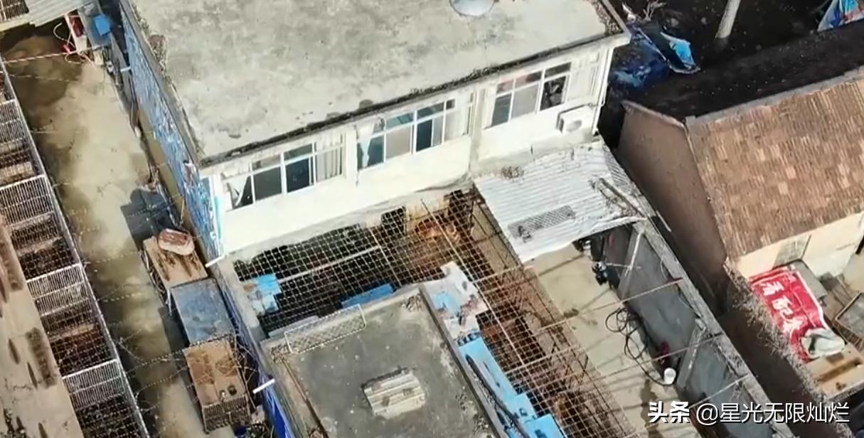 安徽宿州马戏之乡骑虎难下,宿州埇桥马戏之乡