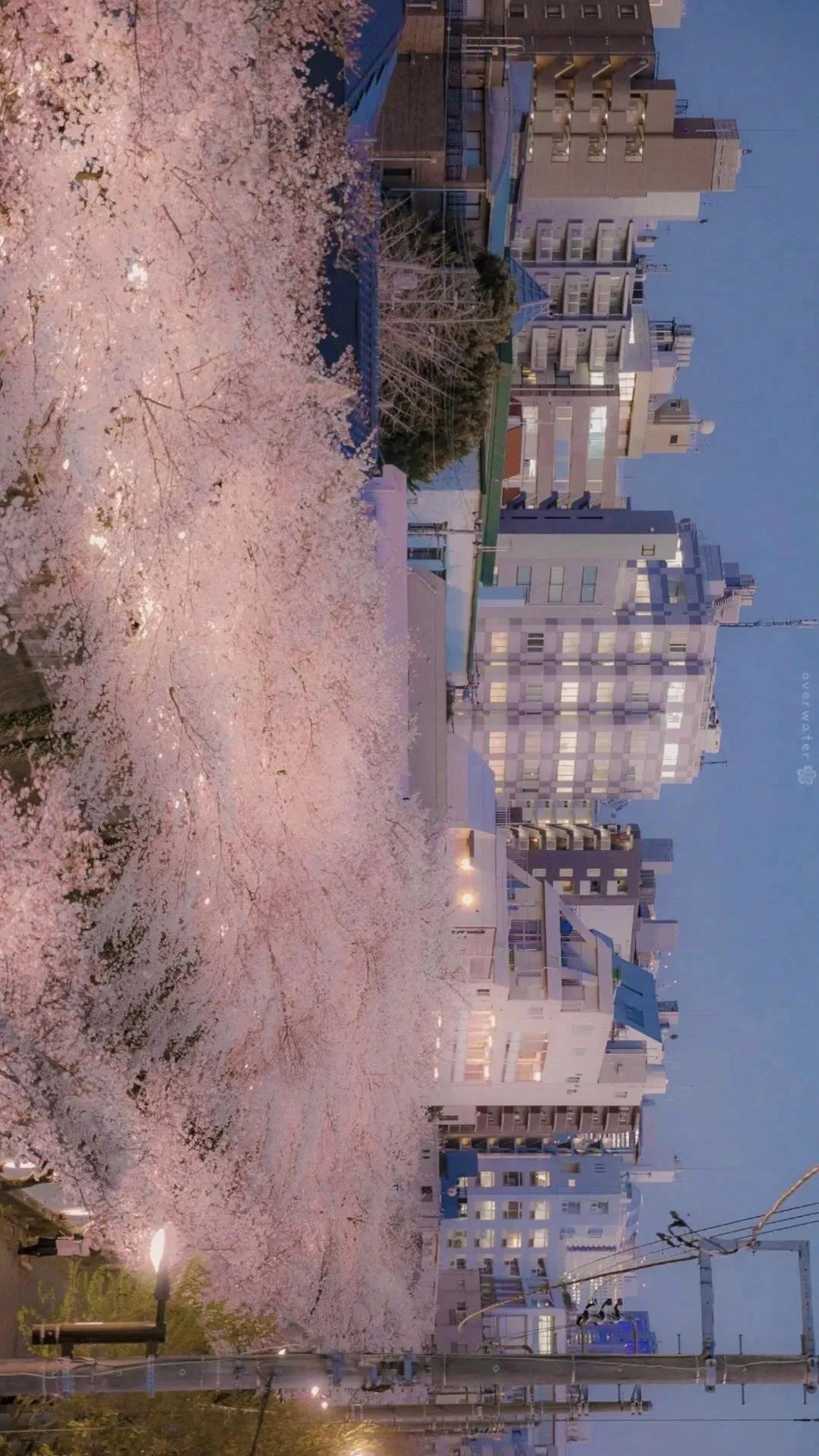 谁又是谁的救赎文案,救赎自己的文案