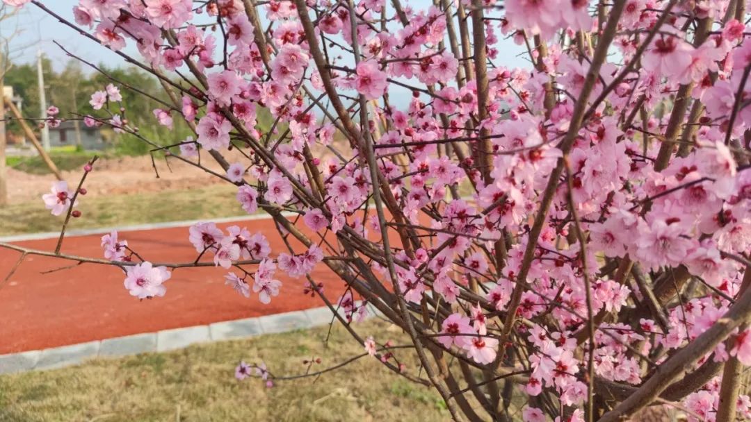 94年自由写作者的一天,我的生活日常分享