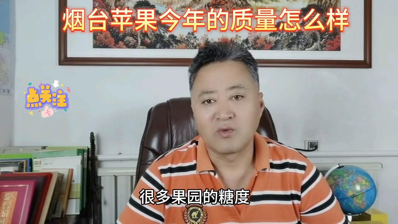 洛川苹果和烟台苹果哪个好,阿克苏苹果和烟台苹果哪个好