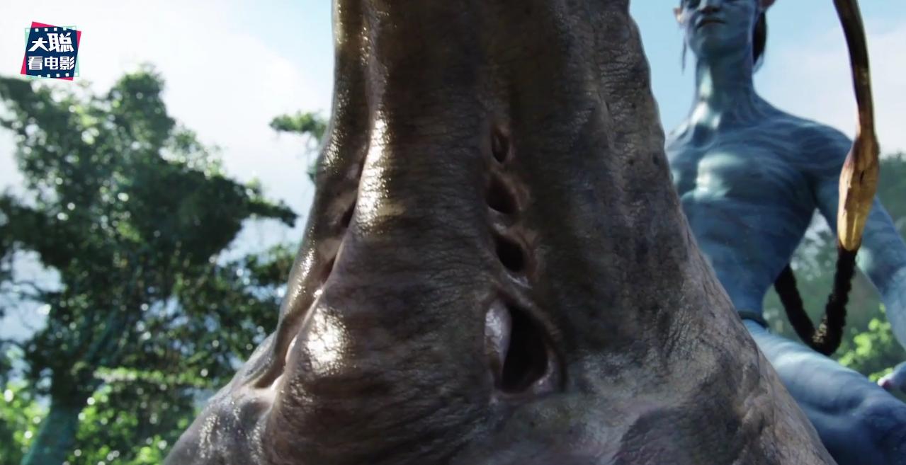 阿凡达细节讲解,阿凡达2全过程讲解