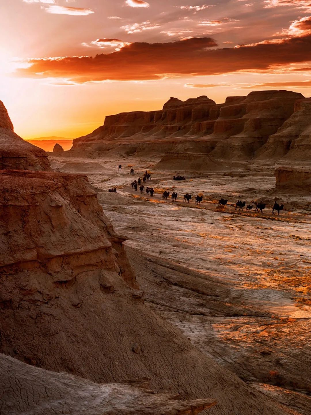 秋季喀纳斯,喀纳斯之秋风景画