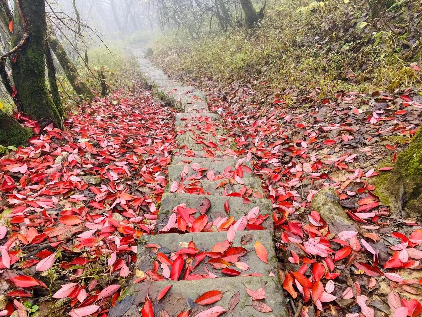 一线教师怎么做,一线老师怎样才能幸福