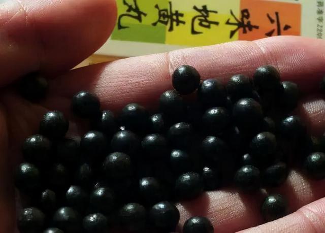 高血糖的中医药防治,高血糖中医疗法方剂