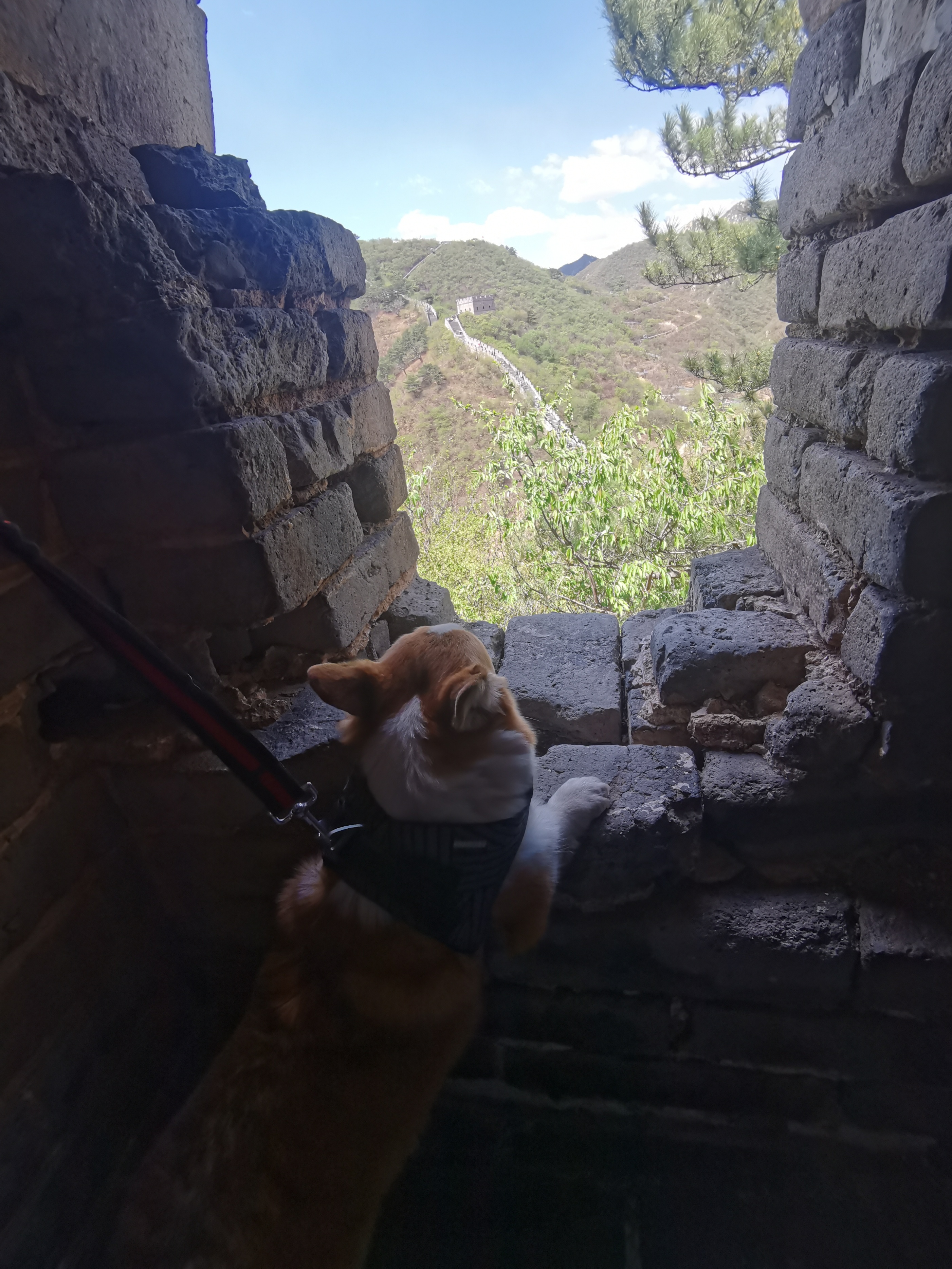 黄花城水长城旅游攻略,行走万里长城之旅