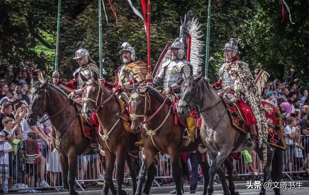 纳瓦拉的城堡守卫，组织和结构是怎样的，以及职责范围如何分配