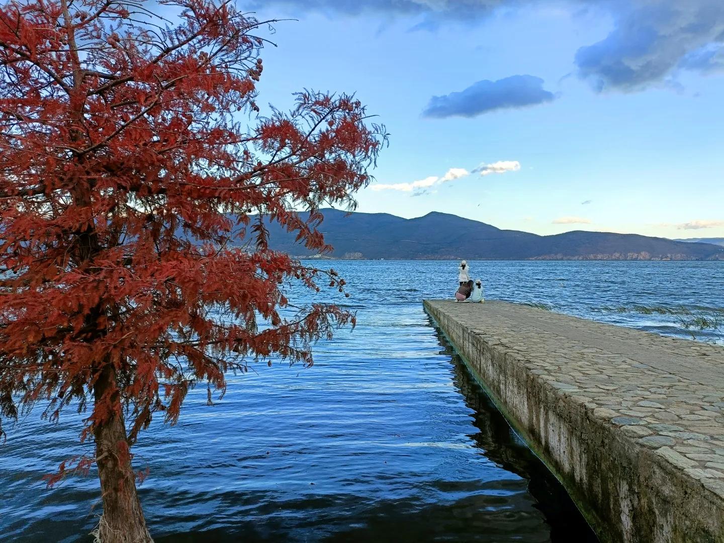 大理龙龛码头在哪里,大理龙龛码头民宿推荐